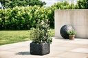 Planter Square