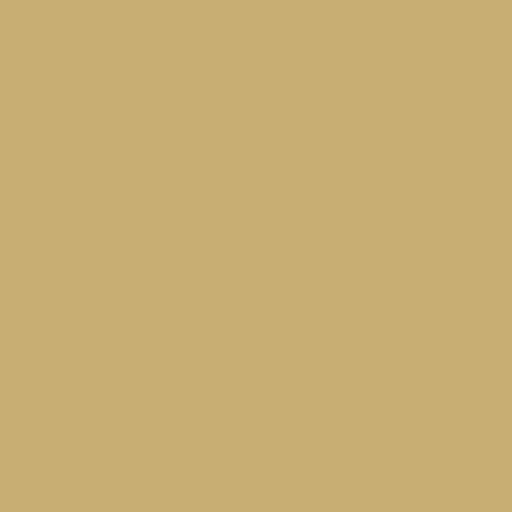 Profilfarve: RAL 1002 (P3)