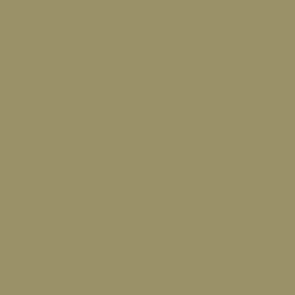 Profilfarve: RAL 1020 (P3)