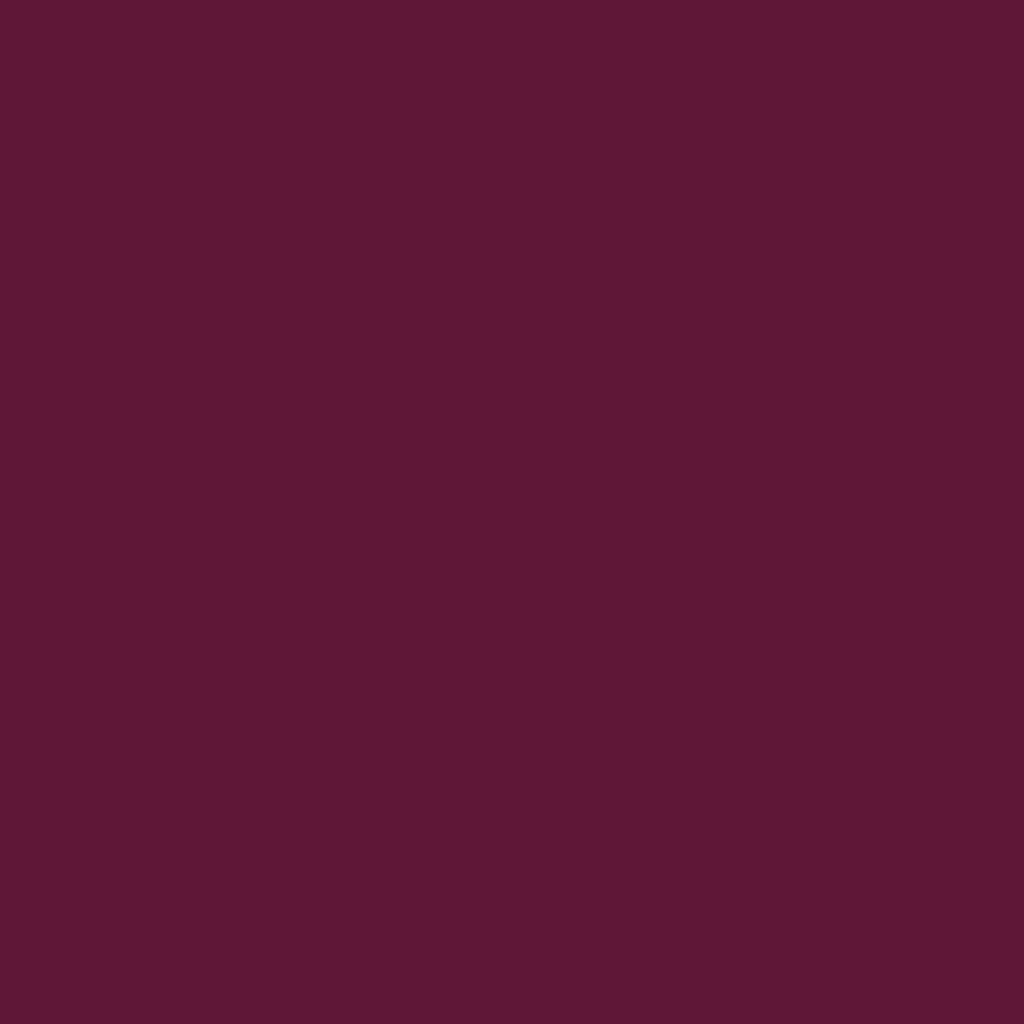 Profilfarve: RAL 4004 (P3)