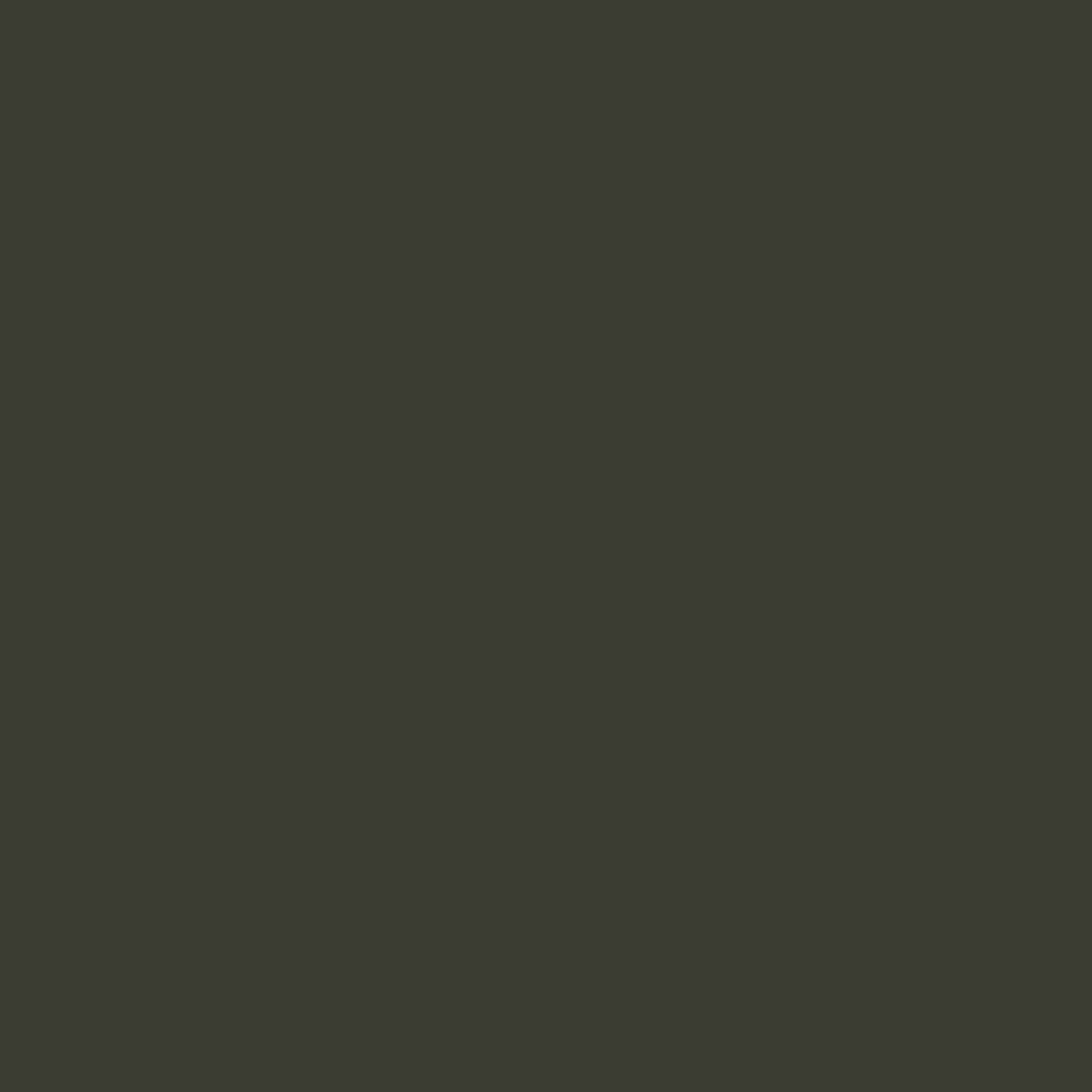 Profilfarve: RAL 6006 (P3)