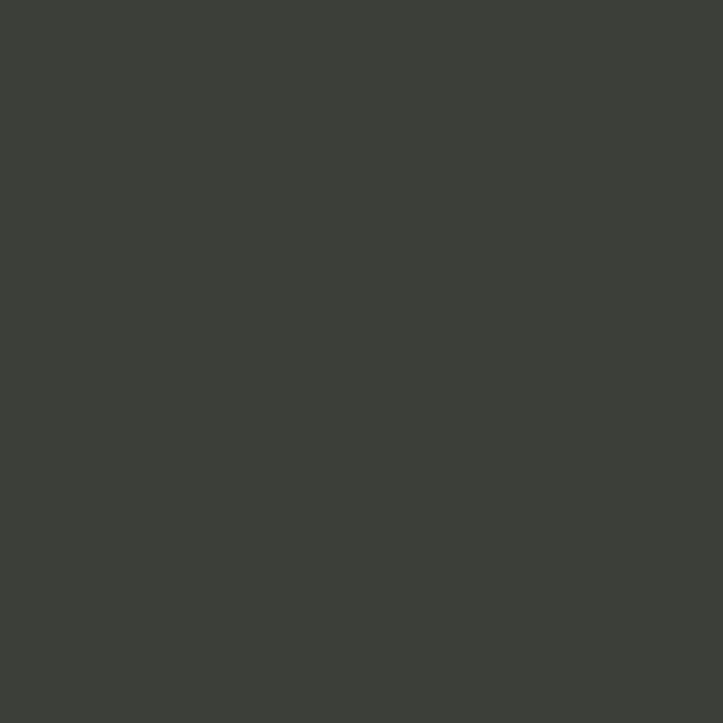 Profilfarve: RAL 6015 (P3)