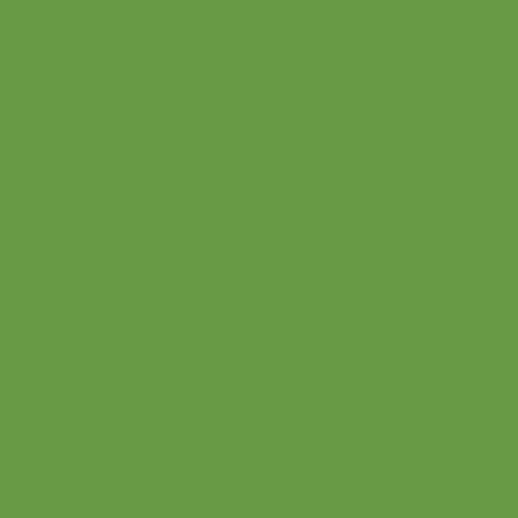 Profilfarve: RAL 6018 (P3)