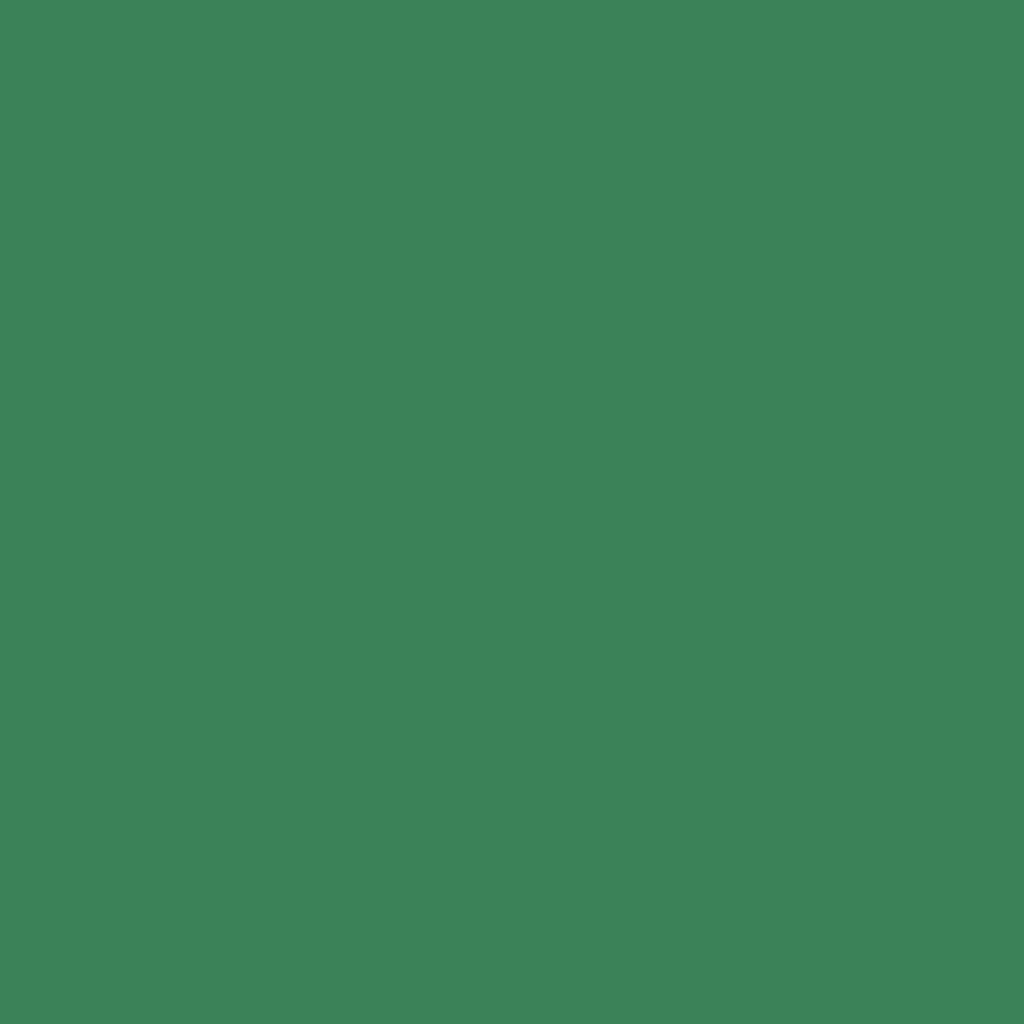 Profilfarve: RAL 6024 (P3)
