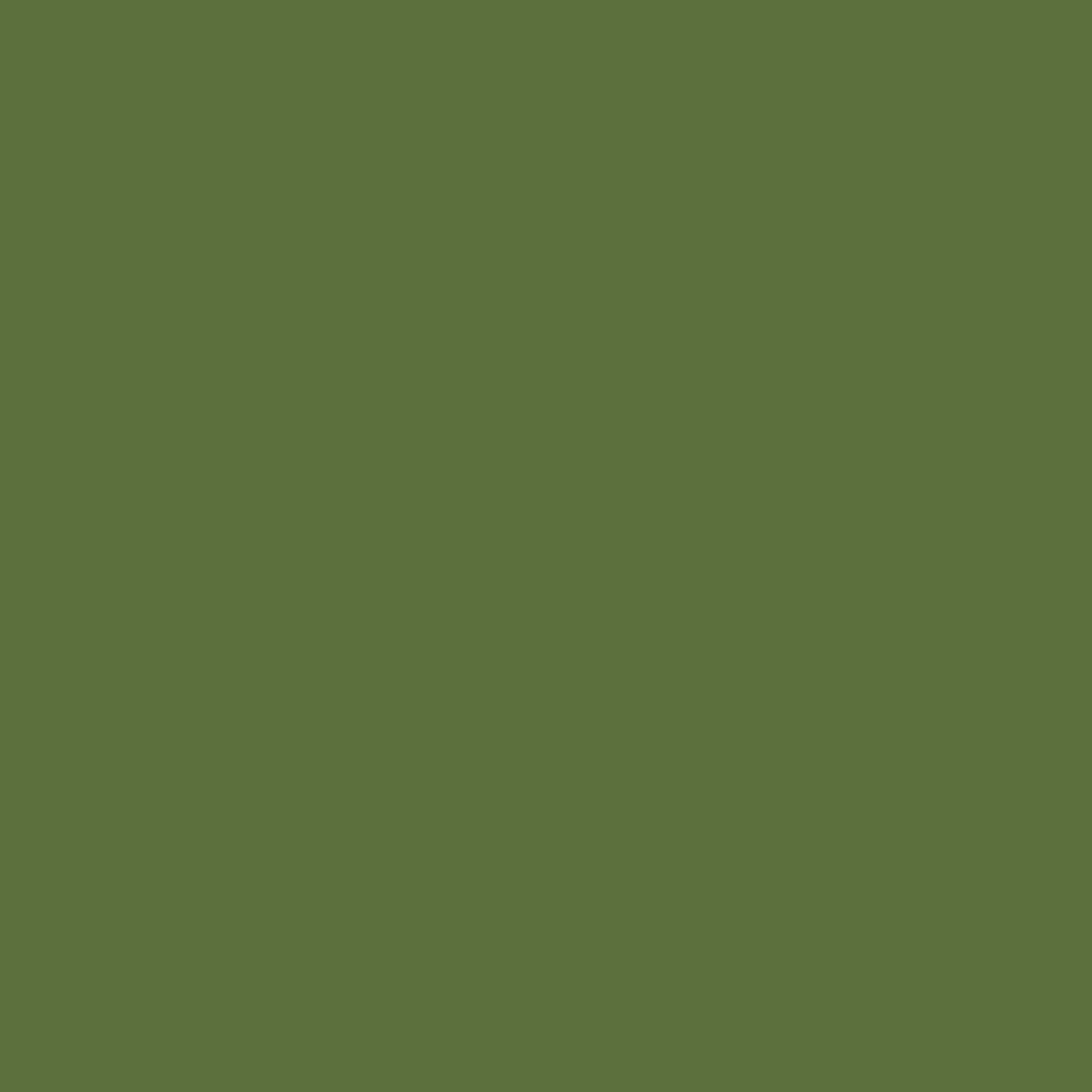 Profilfarve: RAL 6025 (P3)
