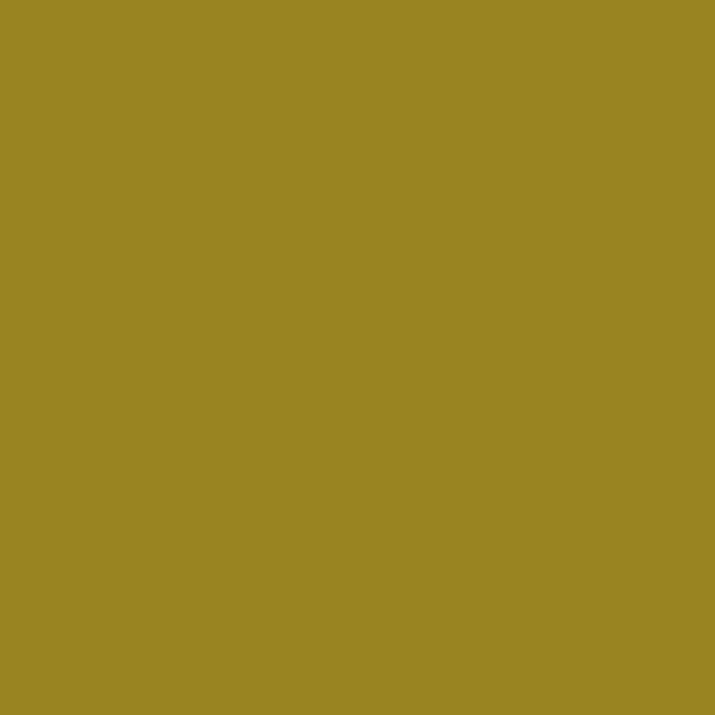 Profilfarve: RAL 1027 (P3)