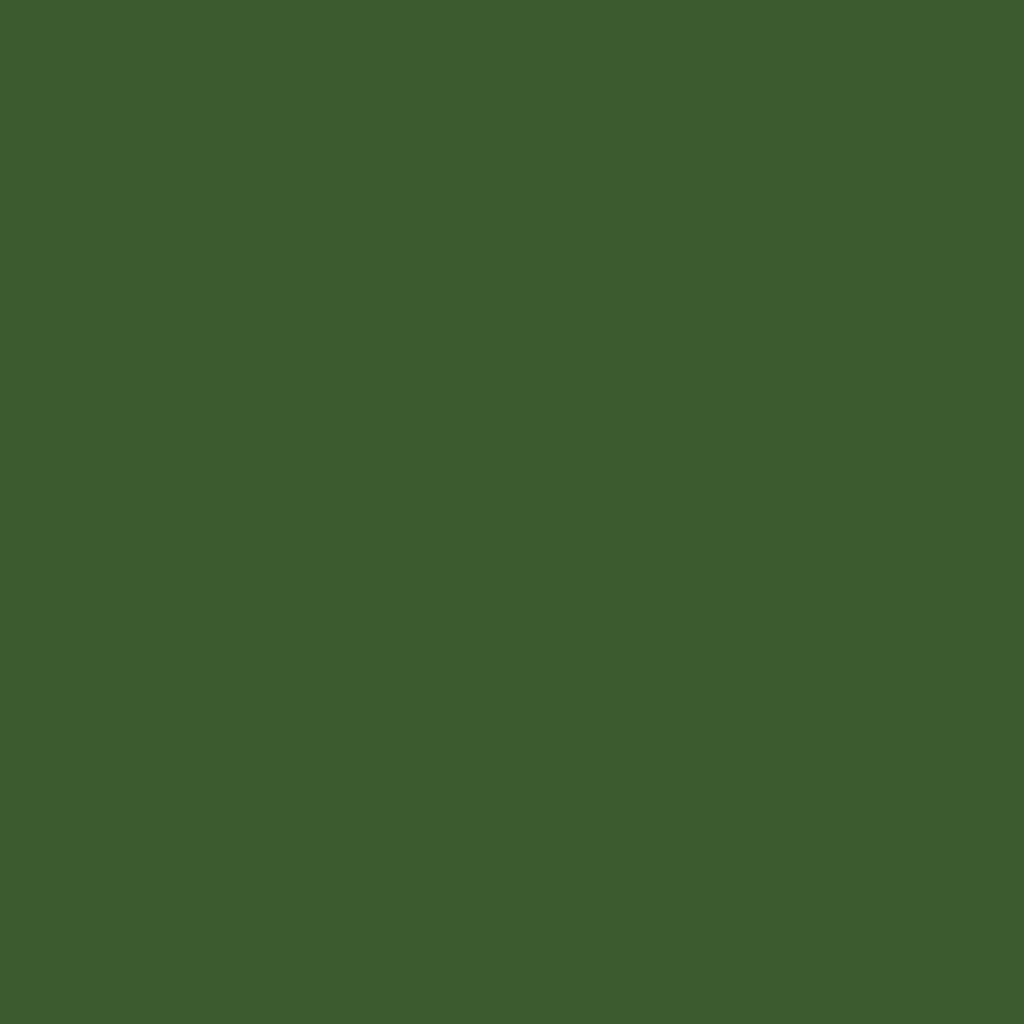 Profilfarve: RAL 6002 (P3)